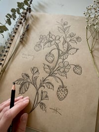 straberry vine