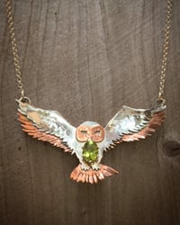 Image 4 of Owl in Flight