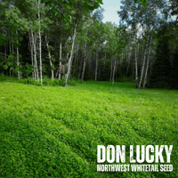 Image 2 of DON LUCKY