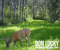Image 3 of DON LUCKY
