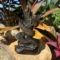 Image 1 of Gold Sheen Obsidian Dragon B
