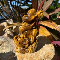 Image 1 of Tiger's Eye Dragon B