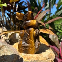 Image 2 of Tiger's Eye Dragon B