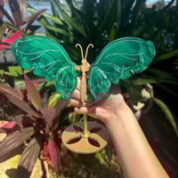 Image 3 of Malachite Butterfly Wings
