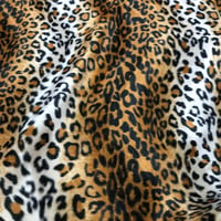 Image 3 of Print Animal - Leopardo Pelo Suave - 10€/m