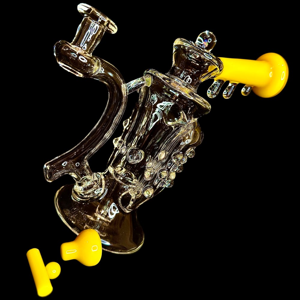Image of 2025 Canary/Cropal Triple Uptake Recycler Set