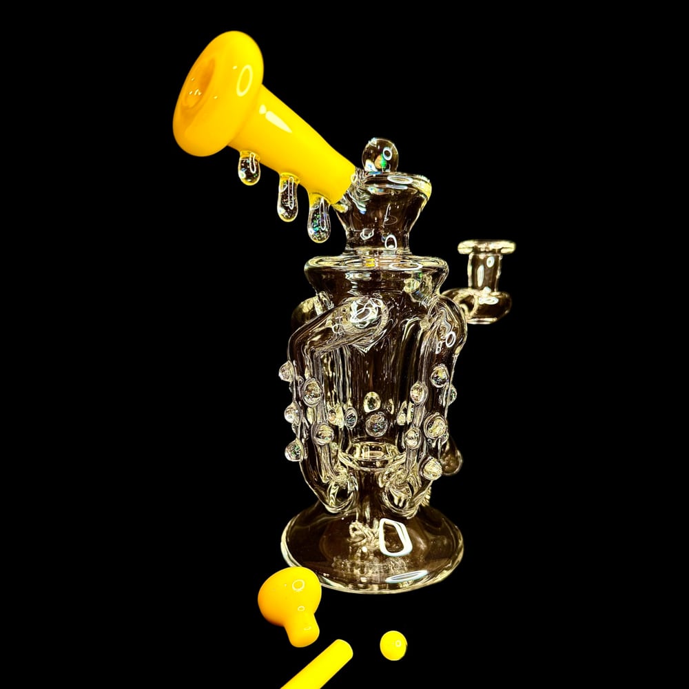 Image of 2025 Canary/Cropal Triple Uptake Recycler Set