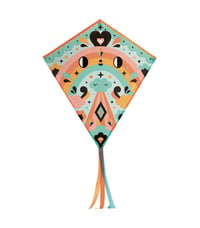 Image 1 of Djeco Kite