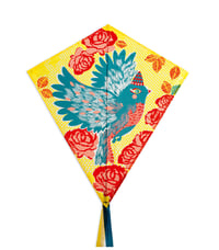 Image 4 of Djeco Kite