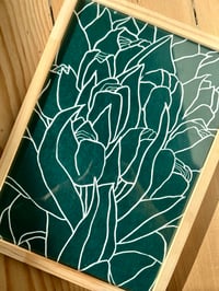 Image 3 of Tulips