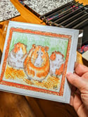 Leapgate animals
