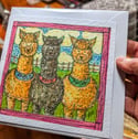 Leapgate animals
