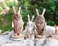 Image 1 of Rabbits Hare Driftwood Family 14 cm