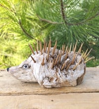 Image 1 of Hedgehog driftwood 20 cm