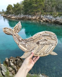 Image 2 of Keith Conqueror of the depths Driftwood Pano on the wall 50 cm