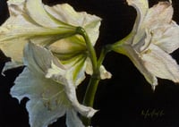 Image 1 of White Bells