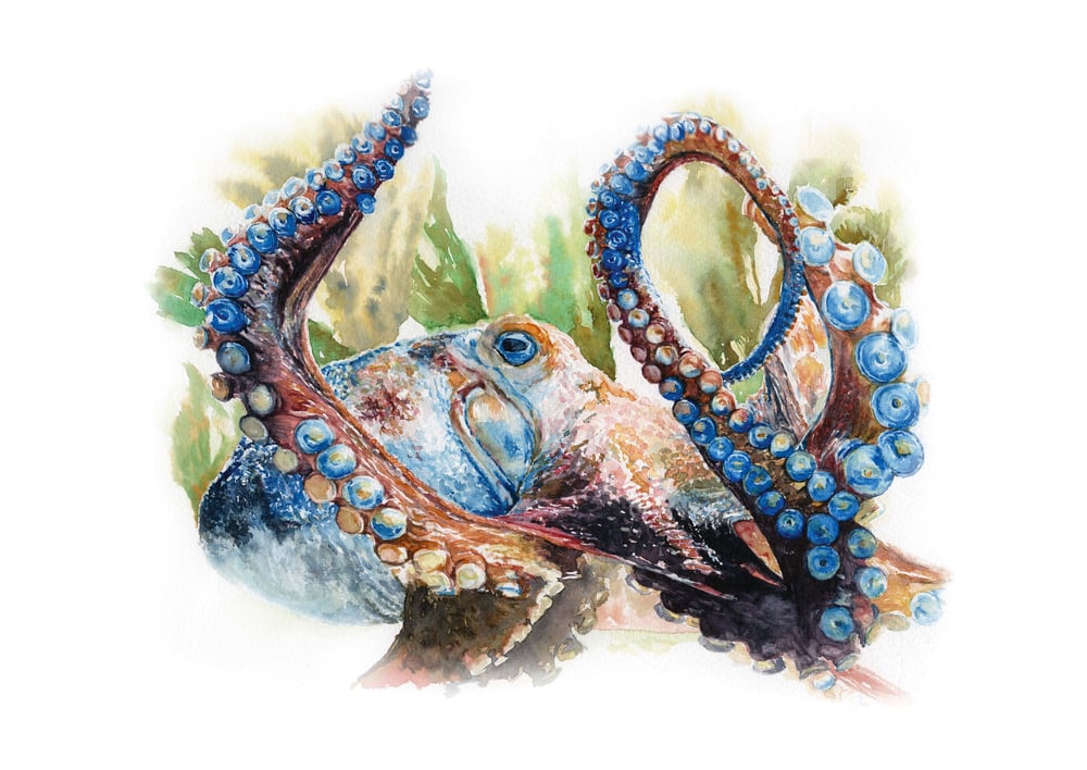 Image of SEA BEASTS TRIO - 3 prints