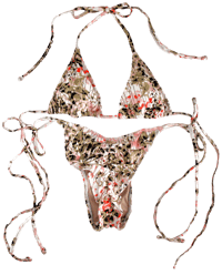 Image 1 of ♲ Strawberries & Chocolate Bikini Set - M Top / L Bottom 