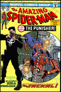 Punisher / Spiderman STEVE GEIGER / TOM RAPKA - 11" x 17" print