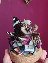 Image 2 of Reading terrarium 