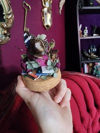 Image 1 of Reading terrarium 