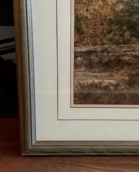 Image 4 of “Lichen and Pine”, S/N Photography Print