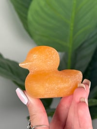 Image 2 of ORANGE CALCITE DUCKLINGS (NOT A SHINY POLISH)