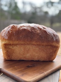 Image 2 of Soft Sourdough Sandwich Loaf