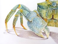 Image 2 of Crabe Fantôme ( Oeuvre Originale)