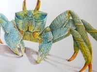 Image 3 of Crabe Fantôme ( Oeuvre Originale)