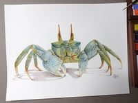 Image 4 of Crabe Fantôme ( Oeuvre Originale)