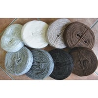 Image 5 of iceland wool (unspun) PLOTULOPI by ISTEX