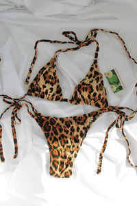 Image 3 of ♲ Rosette Bikini Set - L