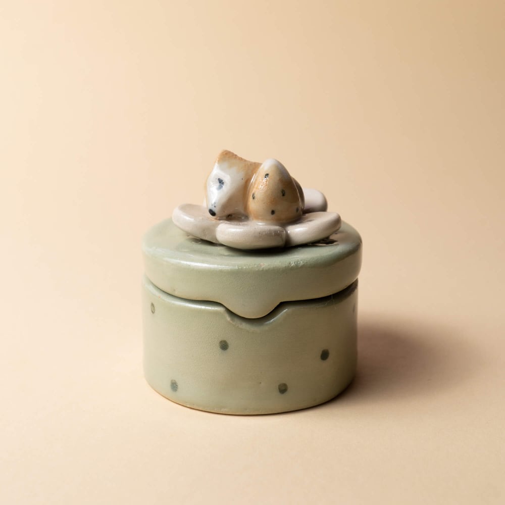 Image of Daisy box š¦š