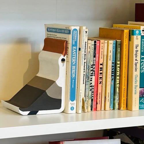 Image of Albatross Bookend