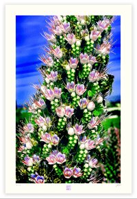 Image 1 of TOWER OF JEWELS (36X24)