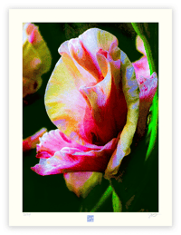 Image 1 of HEY, BUD (24X18)