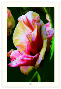 Image 1 of HEY, BUD (36X24)