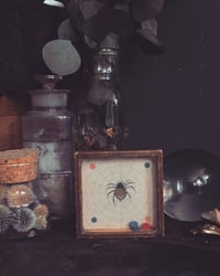 Image 4 of Victorian Spider Game