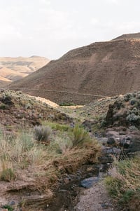 Image 3 of Treasures of Owyhee West: June 13-15, 2025