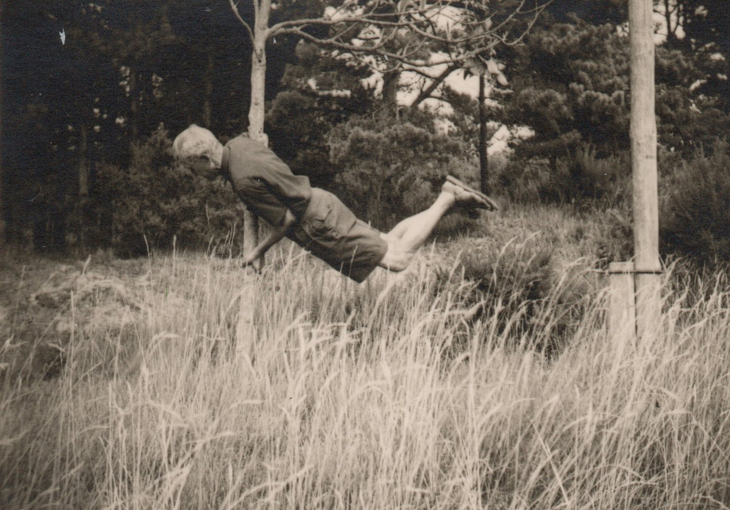 Image of Unknown: pole dancing on a tree, France ca. 1950