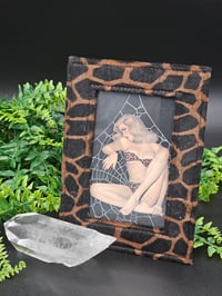 Image 1 of VINTAGE PINUP COLLECTION - with real preserved spider web - 1