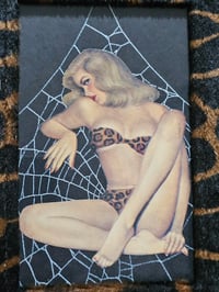 Image 2 of VINTAGE PINUP COLLECTION - with real preserved spider web - 1