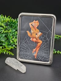 Image 3 of VINTAGE PINUP COLLECTION - with real preserved spider web 2