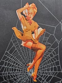 Image 2 of VINTAGE PINUP COLLECTION - with real preserved spider web 2