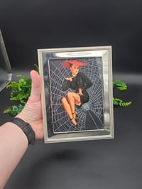Image 3 of VINTAGE PINUP COLLECTION - with real preserved spider web - 3