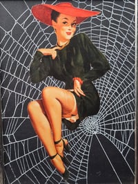 Image 2 of VINTAGE PINUP COLLECTION - with real preserved spider web - 3