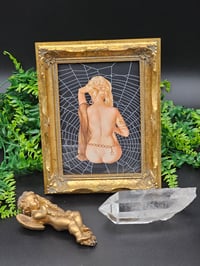 Image 1 of VINTAGE PINUP COLLECTION - with real preserved spider web 4
