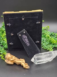 Image 2 of VINTAGE PINUP COLLECTION - with real preserved spider web 4