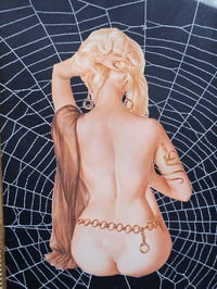 Image 3 of VINTAGE PINUP COLLECTION - with real preserved spider web 4